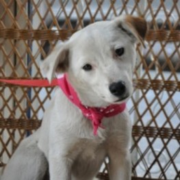 D 1d68b16f ac08 4891 8ef5 7bef7cc25210