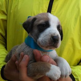 D c33b5a0e f1d7 4a2e b716 cdaf0130f651