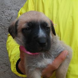 D cda9b48c ae4d 40a6 9ada 79b569e8fd9e