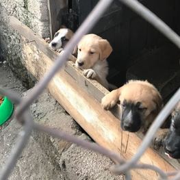 D e9ab0714 e2b6 4634 8f02 7f707de14a9b