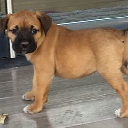 D 227bf9a3 a0a0 42c9 96a9 94bf4226e622