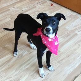 D e3bf6c12 60b6 4e6a 84d8 1cb5ef5d95ac