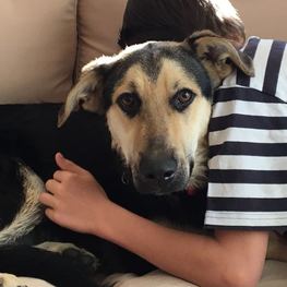 D 49d86553 ae14 4ef5 93d3 9043d75aa2df