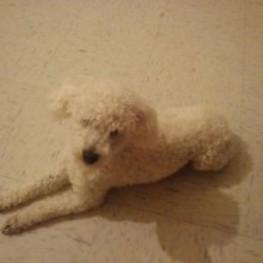 D 97cdc955 e958 4145 92b0 f61e46e62062