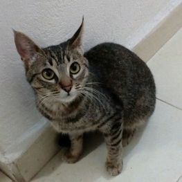 D da734f0d 4431 46e7 a403 76db08492368