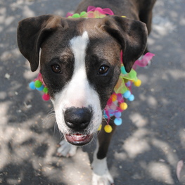 D 828f1d36 8c24 4940 9e4a a199e39e6510