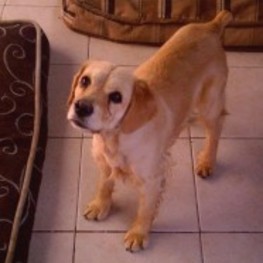 D 44dec3b7 b714 4b52 a2b4 1d6b71ff618b