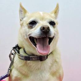 D e328a2d8 8c49 461f a9bf 4d6bb6ff7fcb