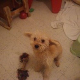 D 76517f3e 260c 458d a78a 33e4cd05485f