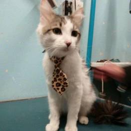 D 6f841c7a cb88 4de5 8680 a6b3742a41e2