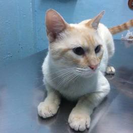 D ff34db8e b123 4891 8fe0 4a08cb44e56a