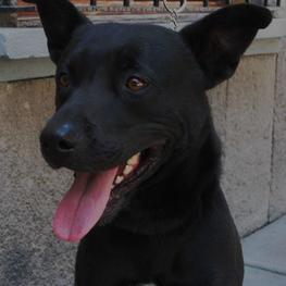 D b2069439 5bfc 41da b072 b5b0a27fcd3f