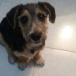 D 1e472c91 2c10 4c47 853e 7381bcf0be87