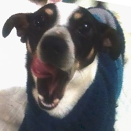 D 4fb40c34 d781 4453 8ec6 9cb18bc6ee6b