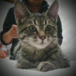 D f7830e57 59cb 46d2 9514 3d4a054d9e9a