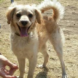 D 0f30645e c1bd 41cd bcd9 25b8873e439c