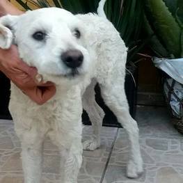 D a86cd760 9001 4663 ad05 907d0e56303b