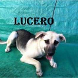 D b3bc5562 3d08 42c0 9263 9e16770948a2