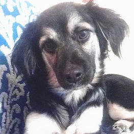 D 09c2837e c06b 4138 a324 d84315254d7a