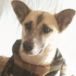 D 03081ed5 ea2f 4997 8b15 d5ef9490fbd7