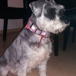 D 0a7ba868 1eff 40b6 99f5 3690d6c0bc63