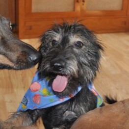 D becc6e1d 11a8 4d27 8262 83398ac79259