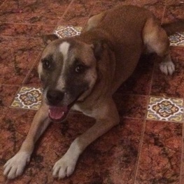 D e753f2c3 4ebd 4330 a965 4e9f22bd89b8