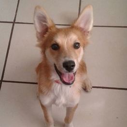 D fde23429 f57b 4d0f 9ce4 65e6cdd220df