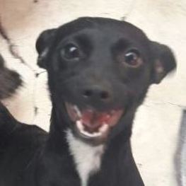 D d958e1f8 425a 4864 9109 68e5115c81f9