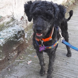 D 9065056e 92b1 4fcd a284 62f1594a6a98