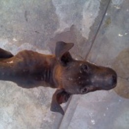 D 01ecc232 8501 47b8 8ae0 50f918951e8b