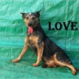 D 2dd0c8e8 9f04 44a2 a119 8e2bc55b7ce4