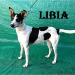 D 81e869ad 5206 4fe3 90b7 d6e33ee7ec42