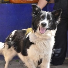 D 0f9d8a7d f125 4eb9 bc32 e3b04e43edc7