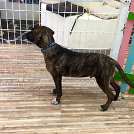 D 524cfbd0 10e6 412f bb0e b56e1b52ba1b