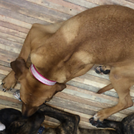 D a02de2b4 2bad 4e61 8a33 9d28238c7695