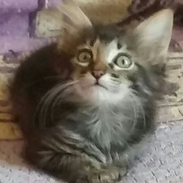 D 2c3982fb 30ad 4da1 973a e2dab700c0e0