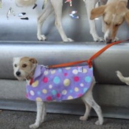 D 6b3ac7be a41e 43aa b479 3c7b68c8456a