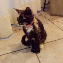 D b477d397 76e3 46ef bd81 0cce42a243bb