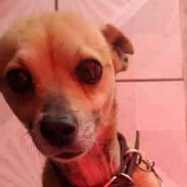 D aff89681 dc8d 40a4 b439 e56cb144ddaf