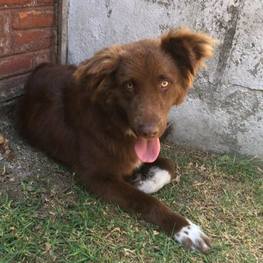 D 2da71203 478e 47c1 828c a413ec6e99c0