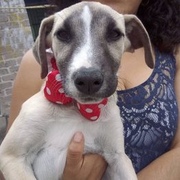 D 9dacaa89 01a7 4a19 895a c357d4c830f3