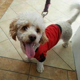 D ed4f756a b08b 4710 a256 205628b55ba3