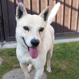 D 8d4aaef0 a074 415b b6e9 e6ce4c60bc63