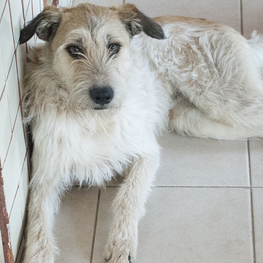 D 1b96790a 16c1 4bfe 8140 804320b9c7e7