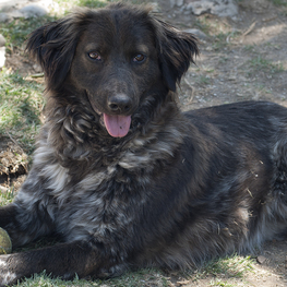 D ff1f7392 50c9 456d 979b a8a268a4e3e5