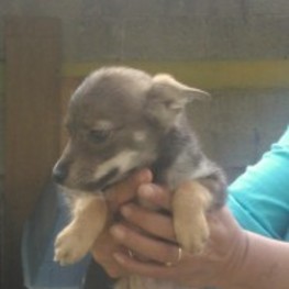 D dc062176 ef57 4504 9832 4afef0c77a8f