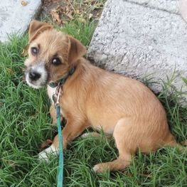 D 67d3c72e 784f 49cf aae6 8fb0bebe9cb3