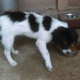 D 850ee62e 0aa3 4af2 b641 4b8b451cc973