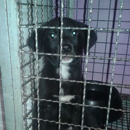 D f4cc8c78 b617 4f2b b901 5f9522cb820f